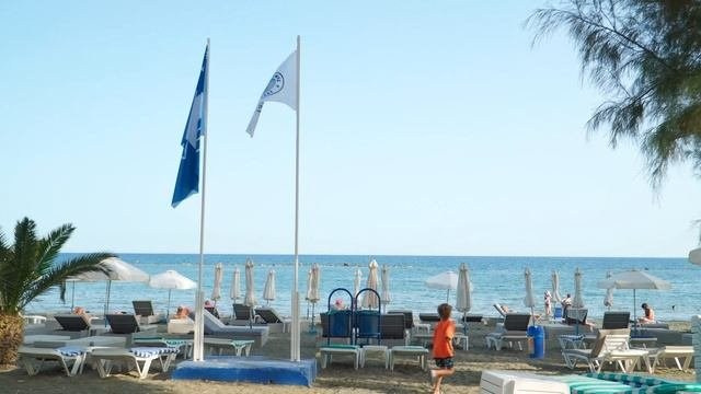 Ютуб. Видеограф Добромыслов