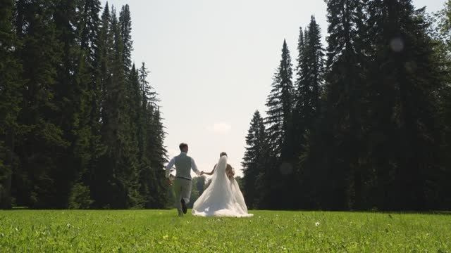 Фильмы. Свадебные фотограф и видеограф Наталья и Анатолий Новиковы СПб