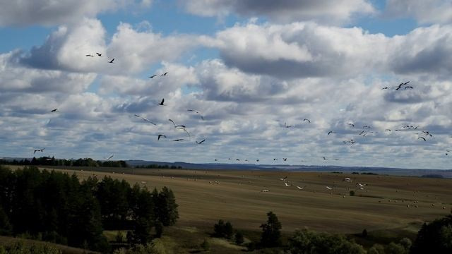 П У Т Е Ш Е С Т В И Я. Дмитрий Костяев. Авторское документальное кино