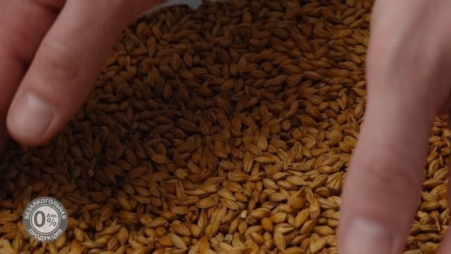 РЕКЛАМА. Свадебный видеограф в Москве Максим Лобач-Граубергер