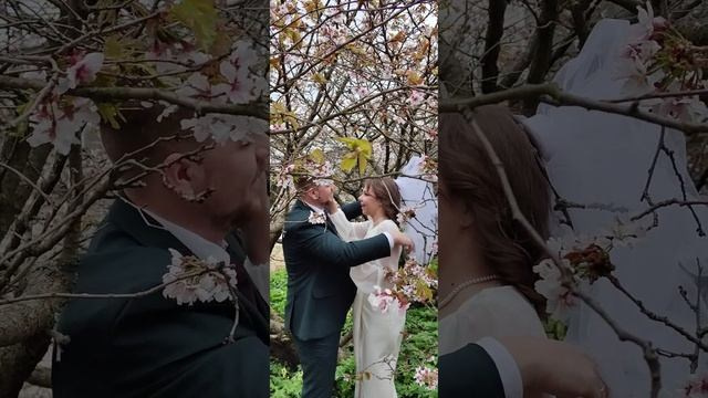 Бэкстэйджи с фотосессий. Портретный, семейный и свадебный фотограф в Санкт-Петербурге и в Пушкине Ширяев Денис