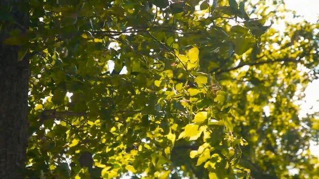 Свадебная съёмка. Создание видео контента. Нижний Новгород