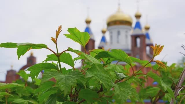 Крещение и венчание. Игорь Варава свадебный фотограф видеограф Белая Глина Краснодар