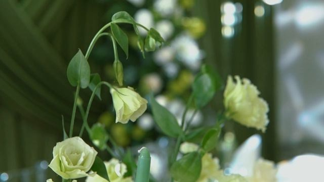 Александр и Анастасия. Алёна Наумова — профессиональный организатор свадеб и мероприятий в Краснодарском крае и на побережье