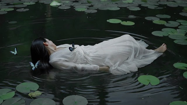 The pond. Elizabeth Marriott