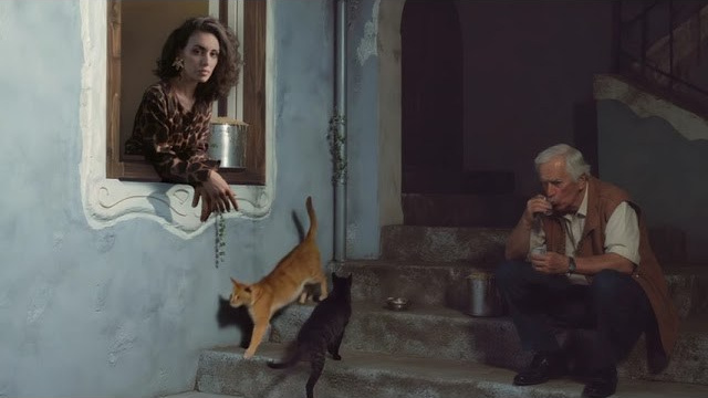 Dreams of old Italy. Elizabeth Marriott