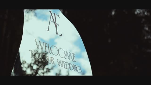 Weddings. Видеограф в Москве Даниил Векшин