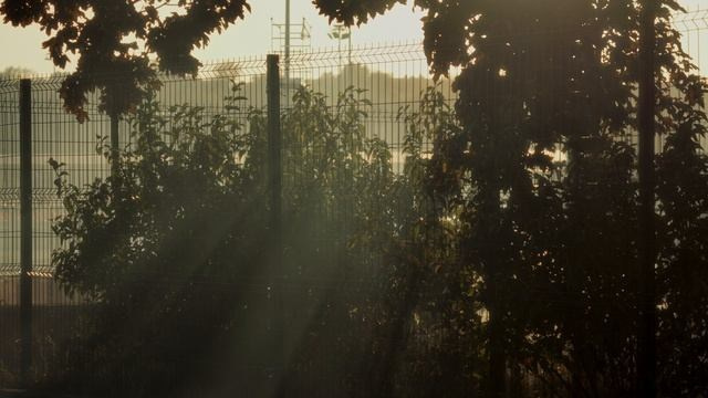 ZAZOR / cars photo & video. Видеограф в Москве Даниил Векшин