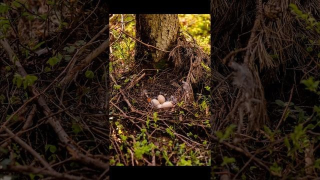 Глэмпинг МОРЕ. Павел Шарапов | Фотограф | Москва