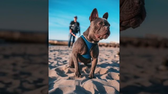 YouTube. Свадебный и семейный фотограф Калининград Зеленоградск Светлогорск Леман Игорь