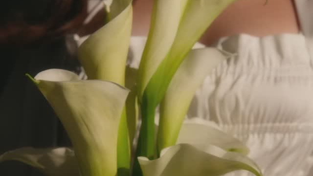 WEDDING. Видеограф Никита Медведев