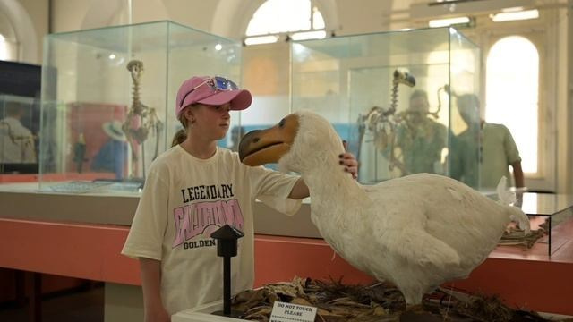 Видео. Фотограф Илья Бызов, Свадебный и репортажный фотограф Сочи