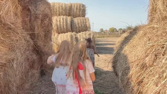 Истории. Основное