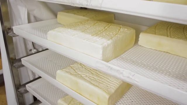 Обучение. Видеограф Добромыслов