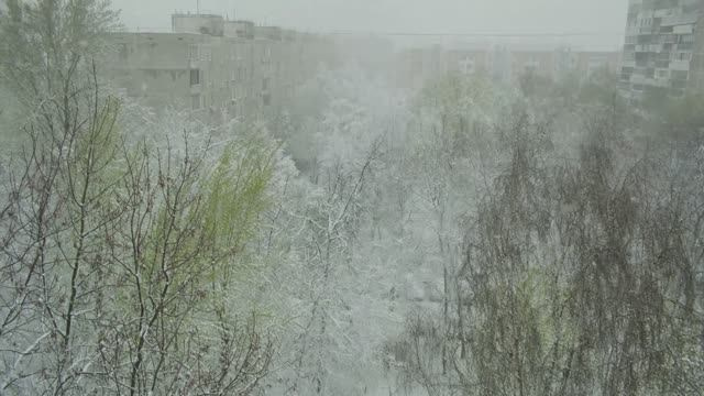 Слайд-шоу. Улица, люди, жизнь…