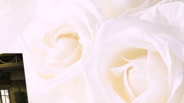 Слайд-шоу. Улица, люди, жизнь…