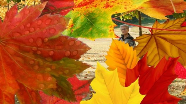 Слайд-шоу. Улица, люди, жизнь…