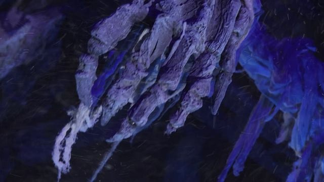 Замок с призраками. Детский фотограф видеограф в Хабаровске Михаил Орлов