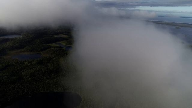 П У Т Е Ш Е С Т В И Я. Дмитрий Костяев. Авторское документальное кино