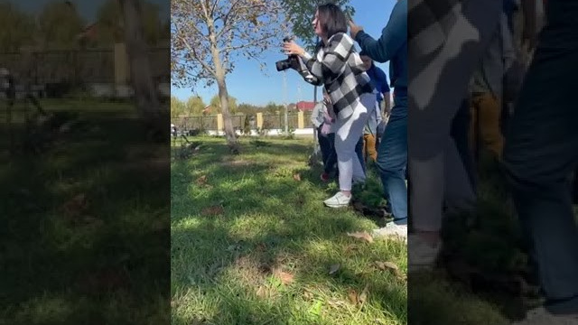 БЕКСТЕЙДЖ. ProAlbom — Выпускные альбомы в Кореновске и Краснодарском крае