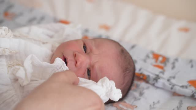 Выписка и Гендер пати. Фотограф и видеограф в Москве и Московской области Мария Вишня