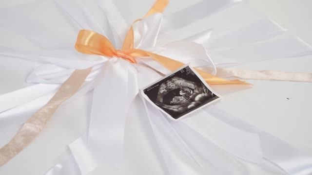 Видео. Фотограф и видеограф в Москве и Московской области Мария Вишня