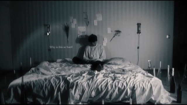 Видео. Anya.vision