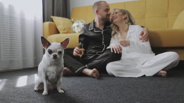 Свадебные видео. Свадебный фотограф и видеограф в Ростове-на-Дону Романенко