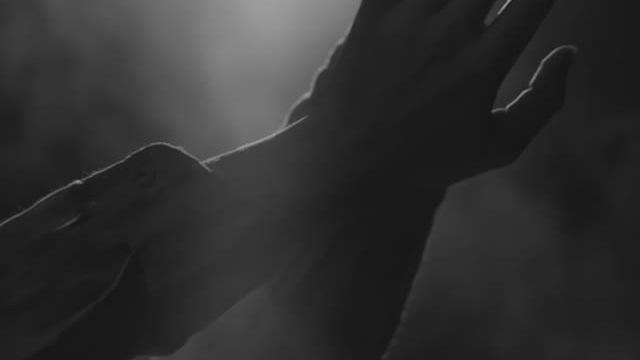 ТАНЦЫ. Видеооператор в Челябинске