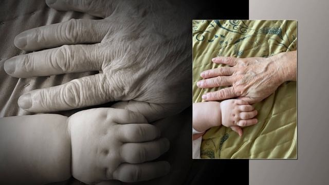 Маленькие ролики из ваших фотографий и видео