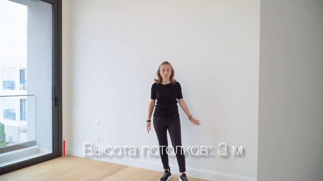 Ютуб. Видеограф Добромыслов