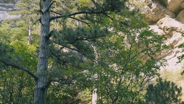 Для малого бизнеса. Видеограф Добромыслов