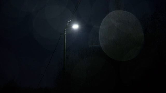 Видео работы. Фотограф/Видеограф Мария