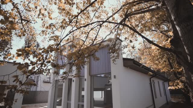 РЕКЛАМА. Свадебный видеограф в Москве Максим Лобач-Граубергер