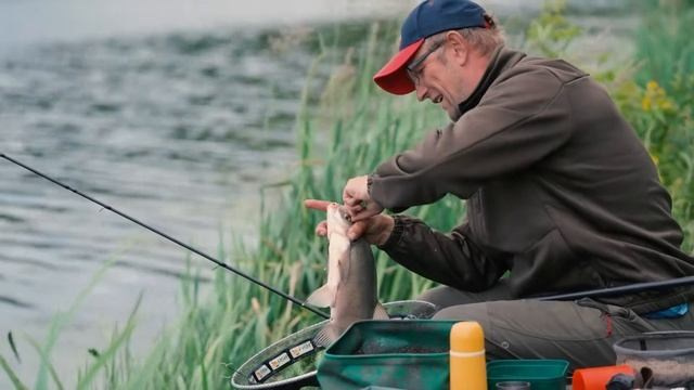 Ютуб. Видеограф Добромыслов