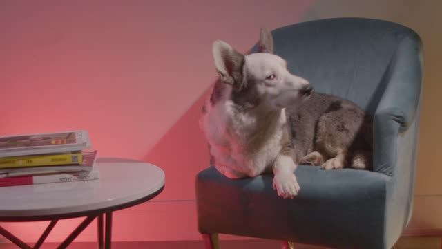 Предметная съемка Москва. Kurochka.production фото и видео для бизнеса в Москве