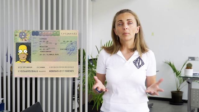 Ютуб. Видеограф Добромыслов