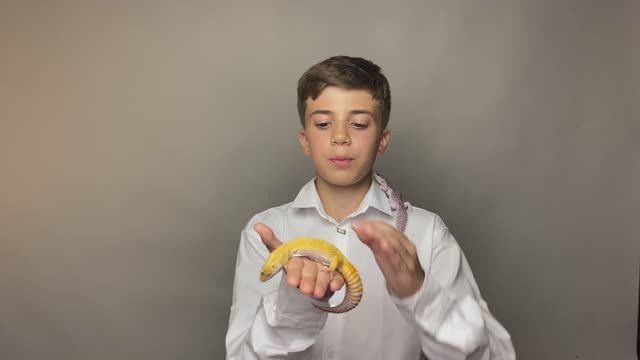 Артем Гулинян. Краснодар