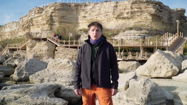 Ютуб. Видеограф Добромыслов