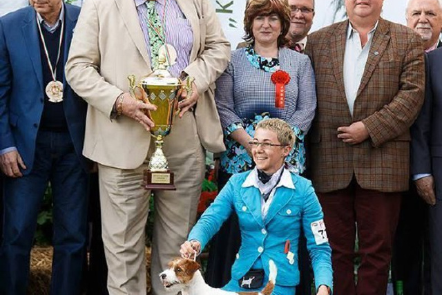 Lovely-Orange питомник джек рассел терьеров