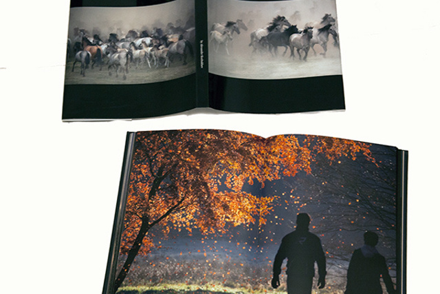 .........................Book