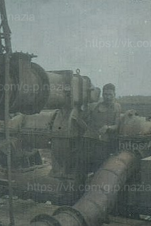 Америка. История Назиевского городского поселения