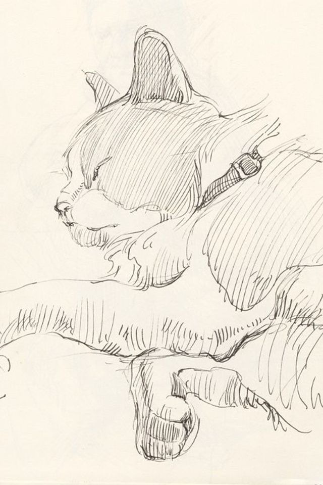 Блог. Ефремова Ольга. Художник