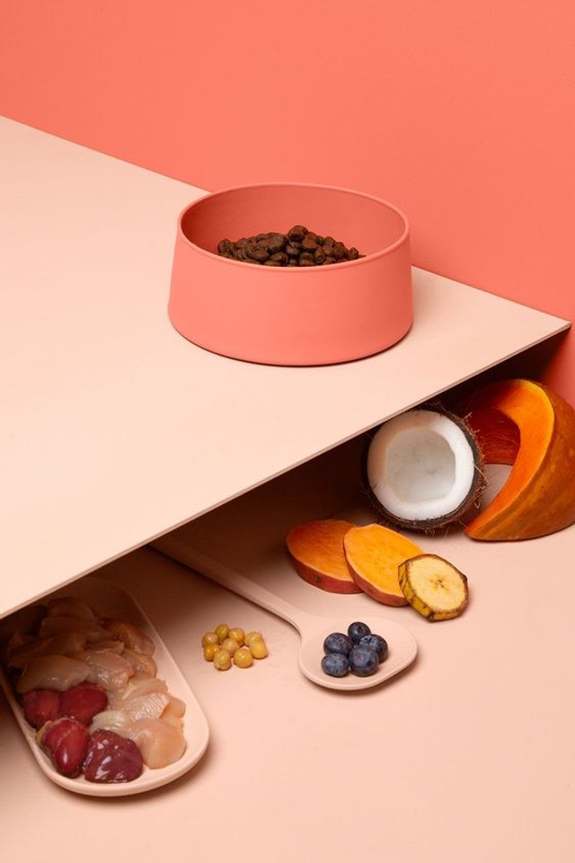 Предметная съемка для интернет, референсы товаров для животных