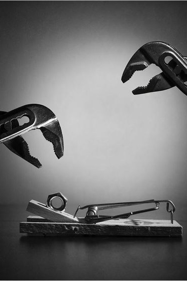 Портфолио для тендеров Ixora |Sale Easy