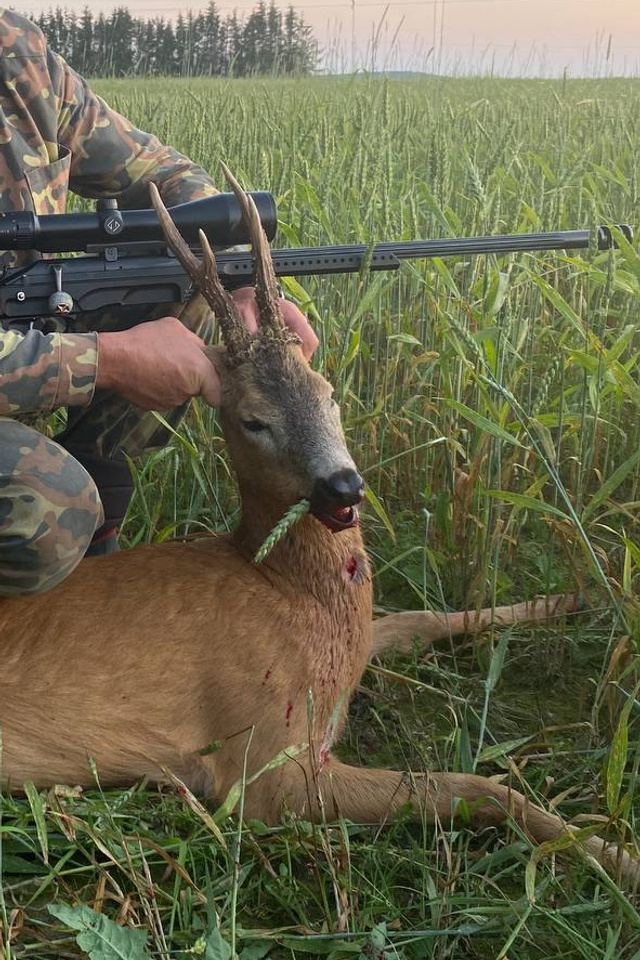 Отзывы. Охота в Беларуси