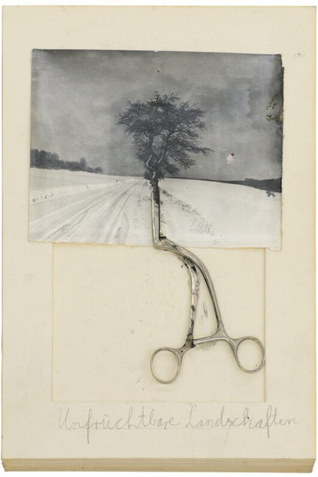 Блог. Private image