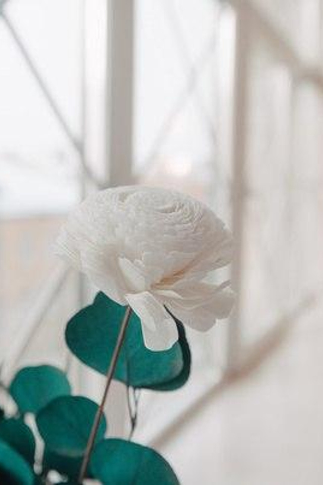 Студия Бархат Ваниль для предметной съемки Красноярск|Sale Easy