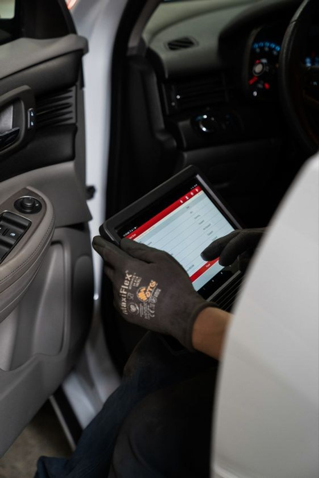 Портфолио для тендеров Ixora |Sale Easy