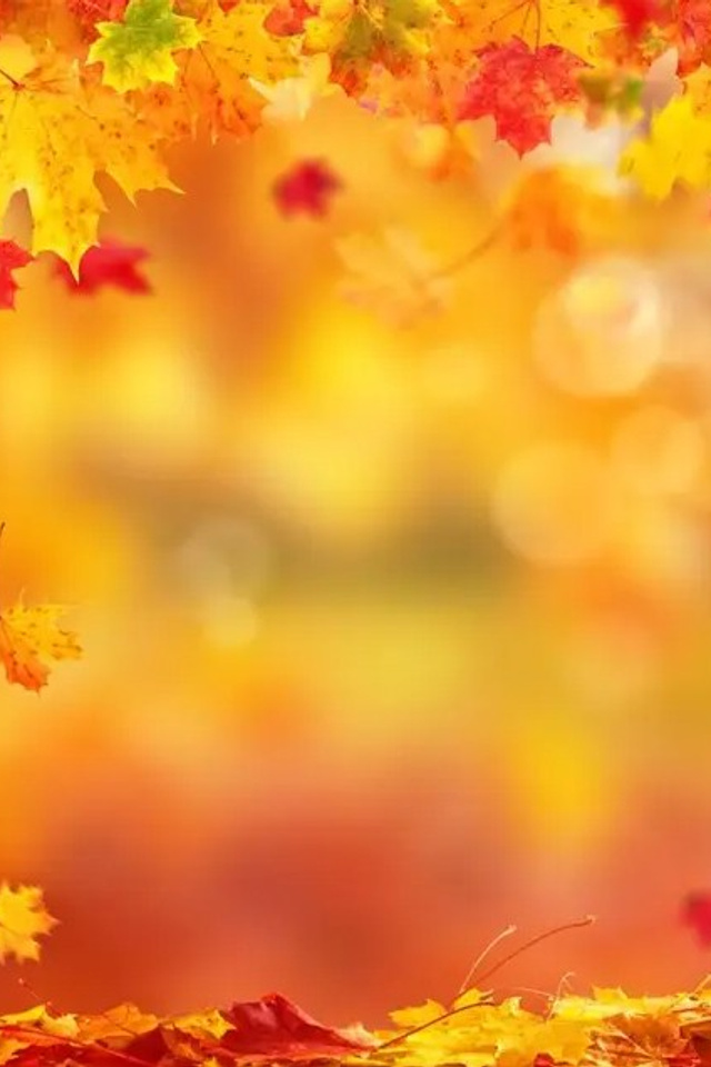 Фотофоны в наличии. Выпускные альбомы от Надежды